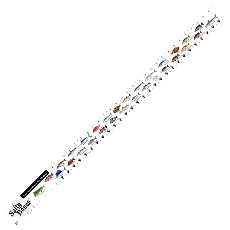 Salty Bones Vinyl East Cost Saltwater Fishing ID Ruler
