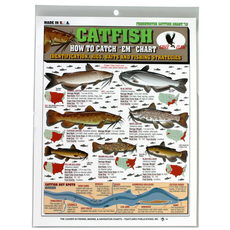 How To Catch 'Em Fishing Chart