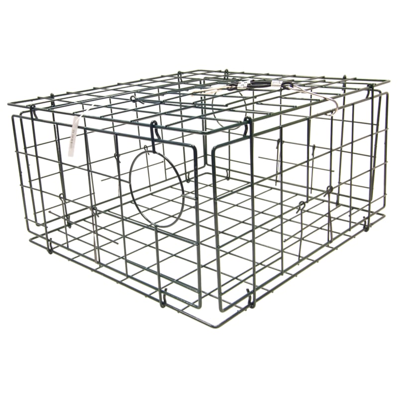 SMI 4-Door Collapsible Crab Trap