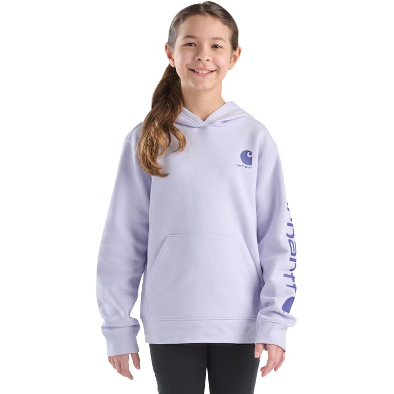 Carhartt Graphic Hoodie for Kids