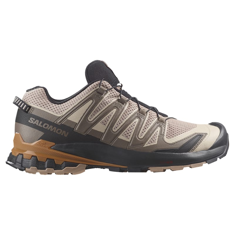 Salomon XA Pro 3D V9 Hiking Shoes for Men