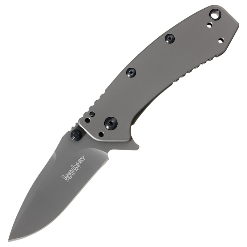 Kershaw Cryo Assisted-Opening Fine-Edge Drop-Point Folding Knife