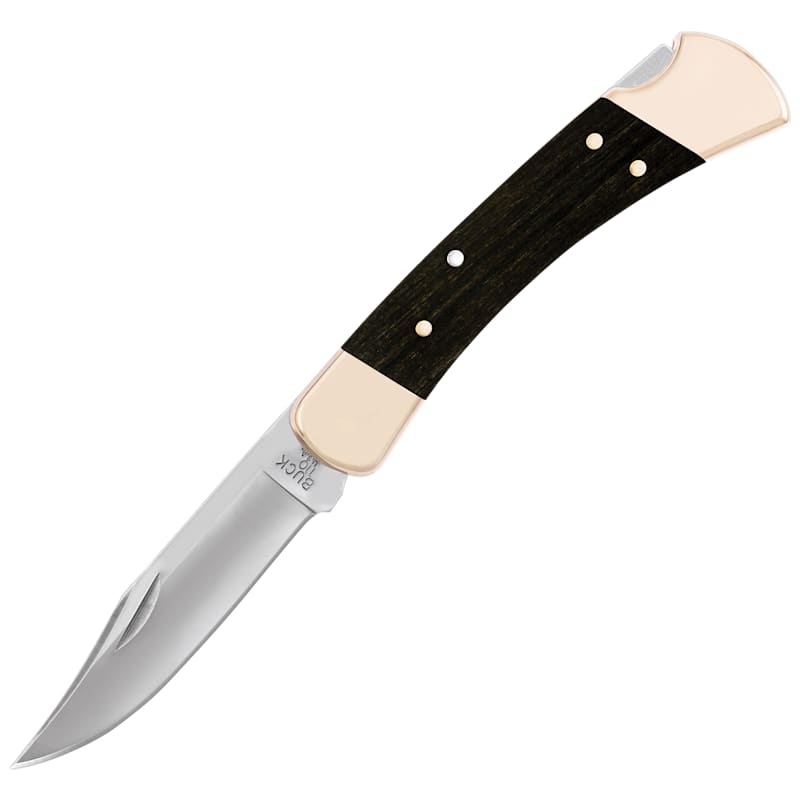 Buck 110 Folding Hunter Knife