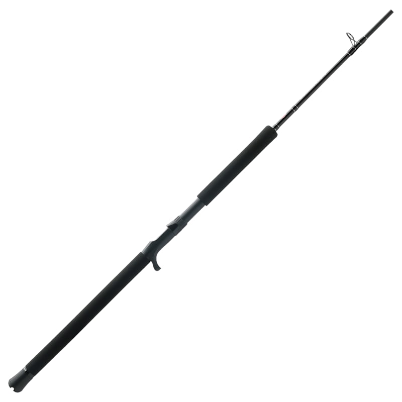 PENN Squadron IV Jig Conventional Rod