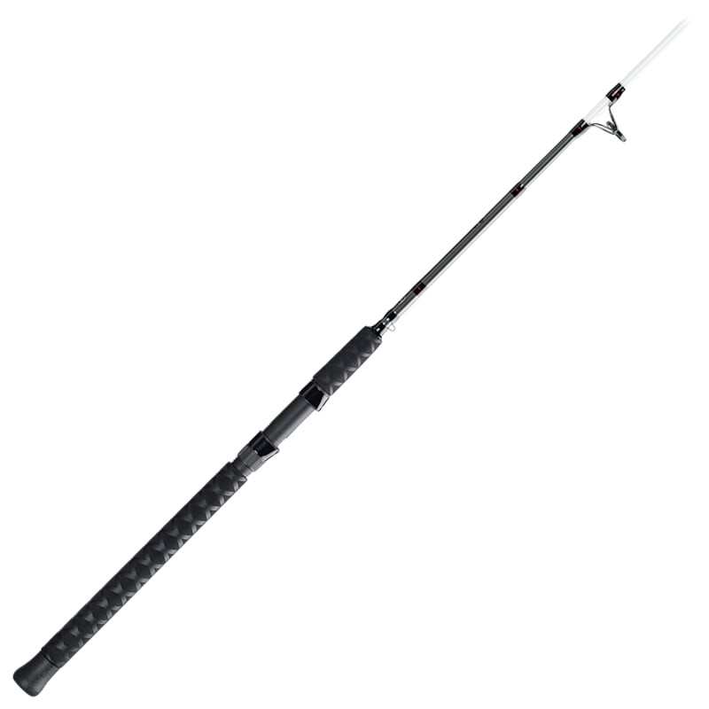 Bass Pro Shops CatMaxx Spinning Rod