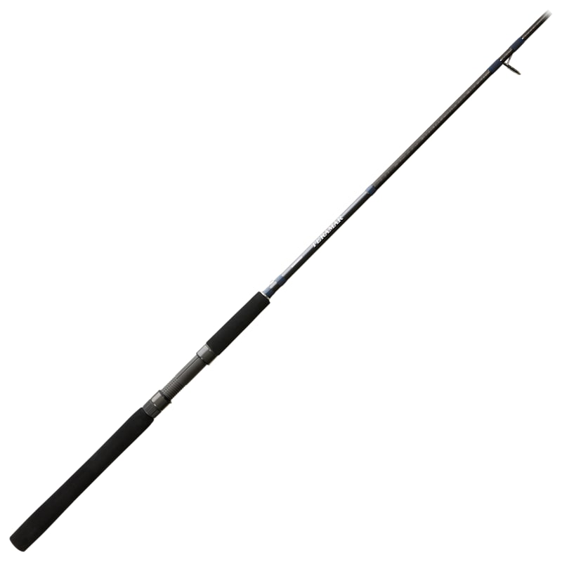 Shimano Teramar NE Spinning Rod