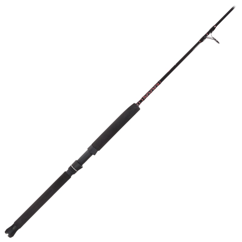 Penn Rampage Jig Spinning Rod