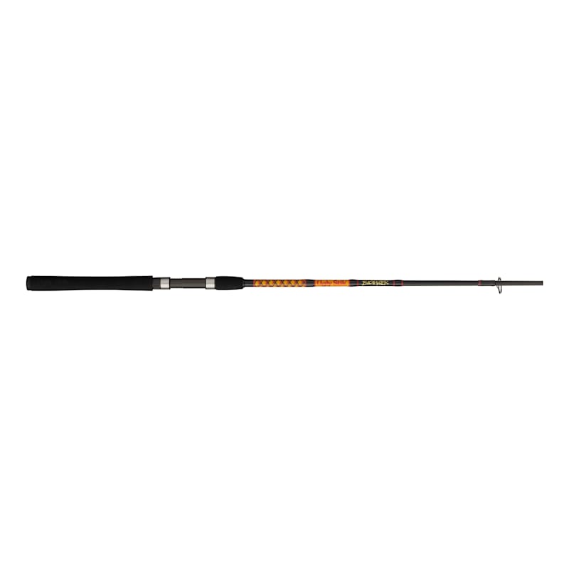 Ugly Stik Bigwater Series Spinning Rod