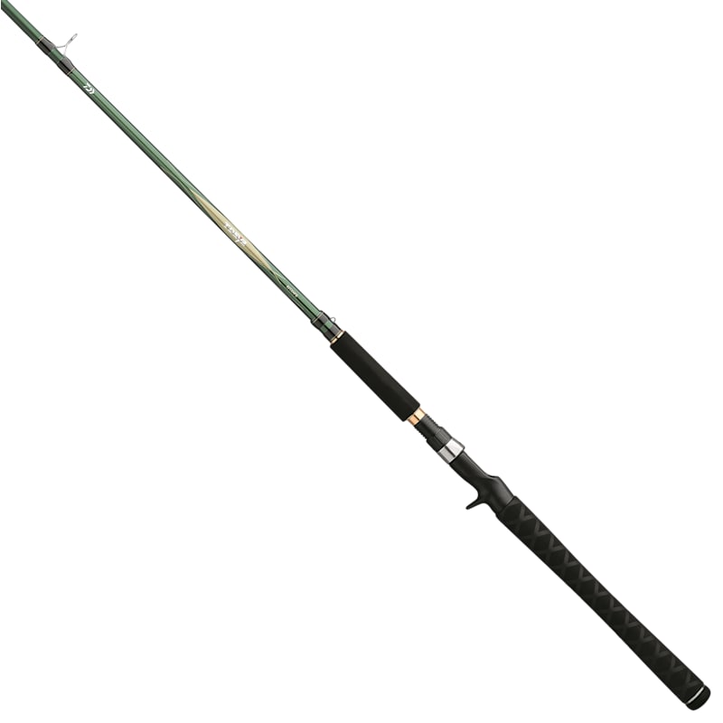 Daiwa TD Eye Casting Trolling Rod