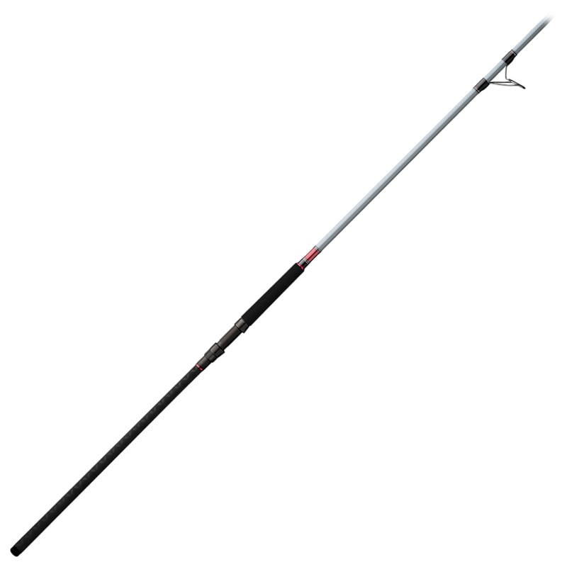 Team Daiwa Surf Spinning Rod