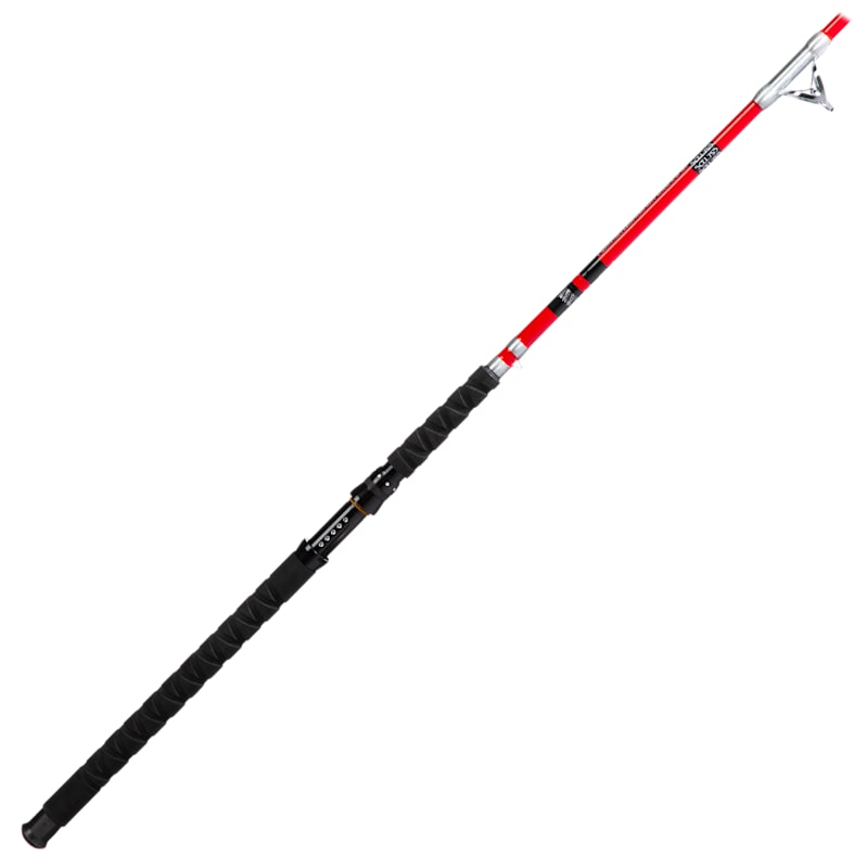 B'n'M Silver Cat Elite Spinning Rod