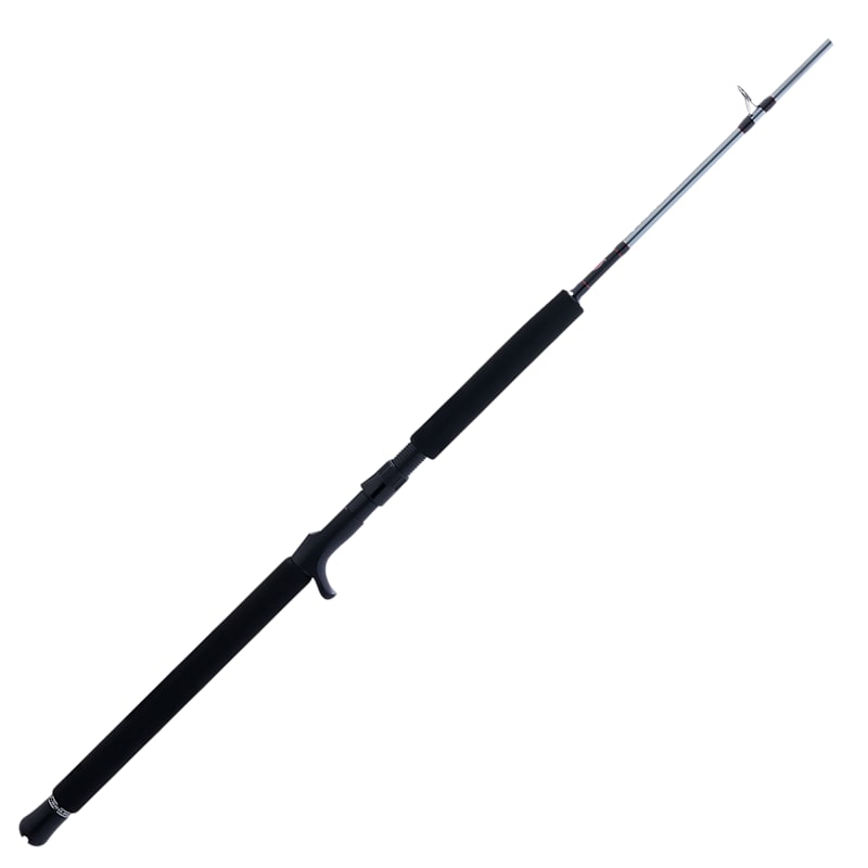 PENN Prevail III Jig Conventional Rod