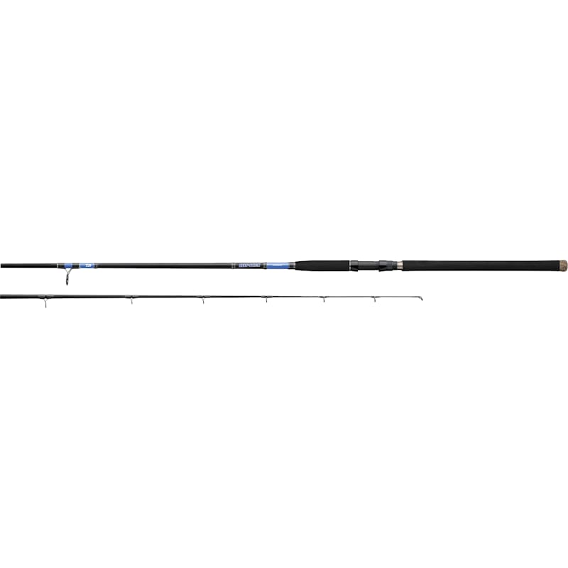 Daiwa Beefstick Salmon Steelhead Striper Casting Rod