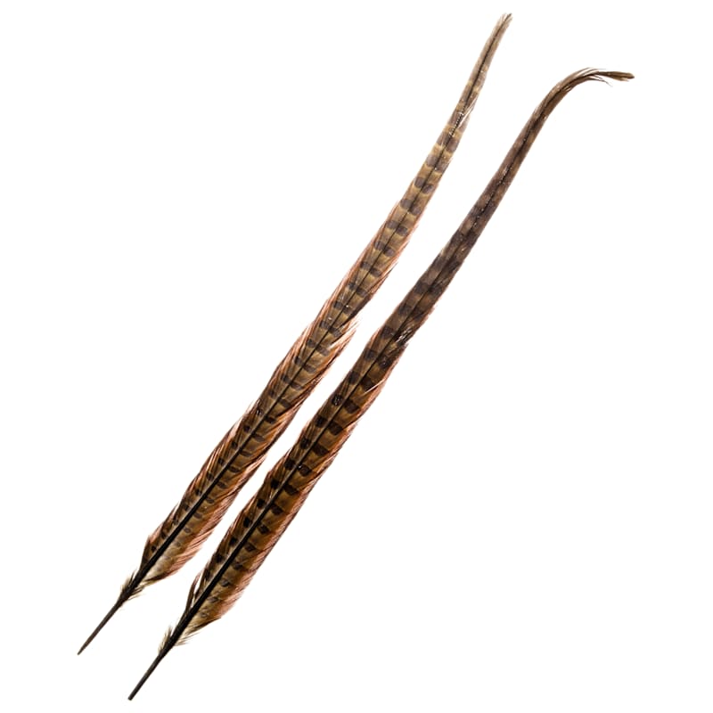White River Fly Shop Ringneck Tail Feathers