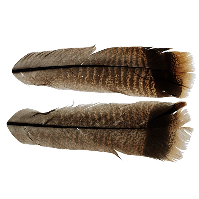 White River Fly Shop Ozark Turkey Tail Feathers