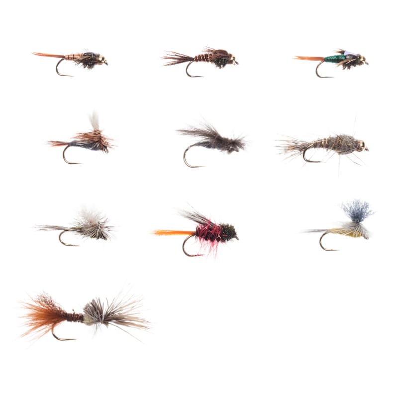 White River Fly Shop 10-Piece Riseform Barbless Mayfly Life Cycle Fly Assortment