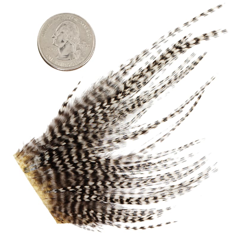 White River Fly Shop Dry Fly Hackle Mini Pack