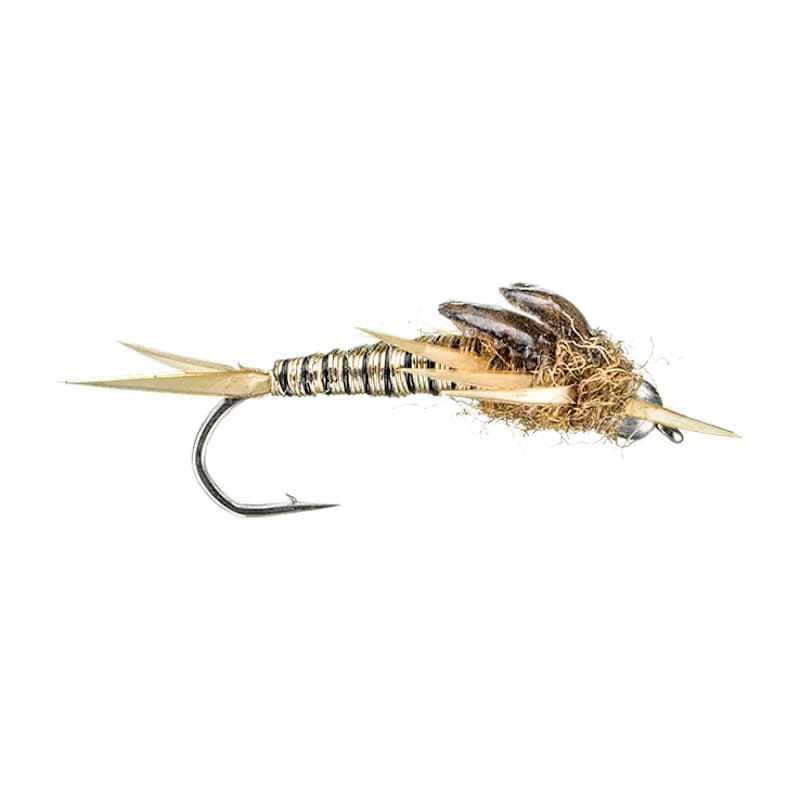 Montana Fly Company Copperback Stone Nymph Fly