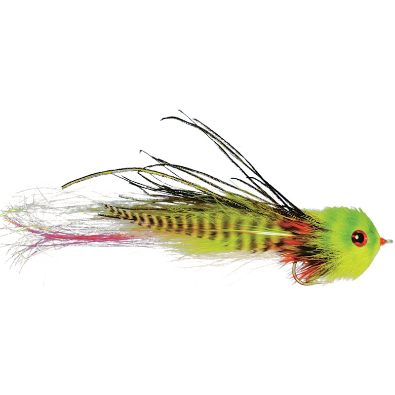 Rainy's El Chupacabra Fly