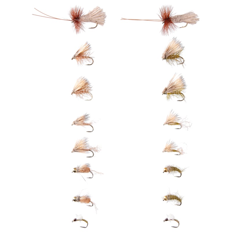 White River Fly Shop Caddis Life Cycle 16-Pack Fly Assortment