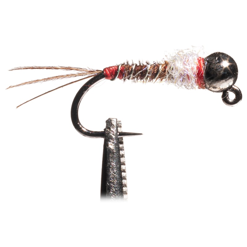 White River Fly Shop Euro Nymph Frenchie Fly