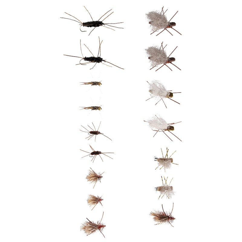 White River Fly Shop Stonefly Life Cycle 16-Pack Fly Assortment