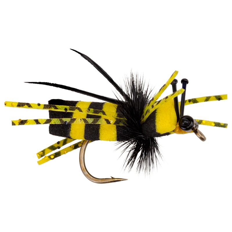 Rainy's Bumble Bee Fly