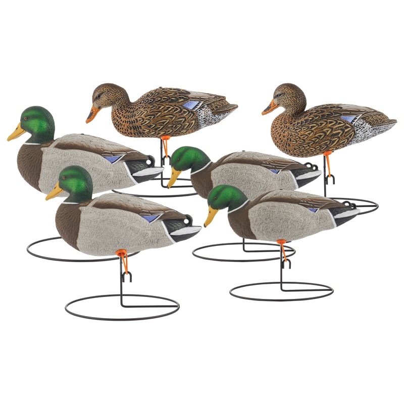 Northern Flight Big Spread Mallard Full-Body Duck Decoys 6-Pack