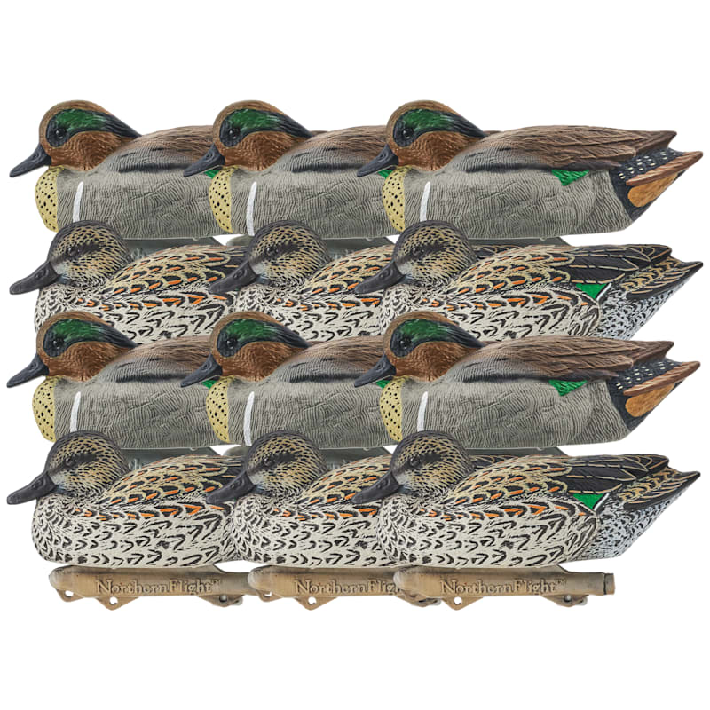 Northern Flight Big Spread Green-Winged Teal Duck Decoys 12-Pack