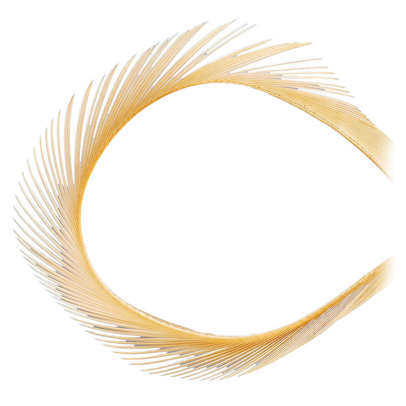 White River Fly Shop Fly-Tying Feather Goose Biots