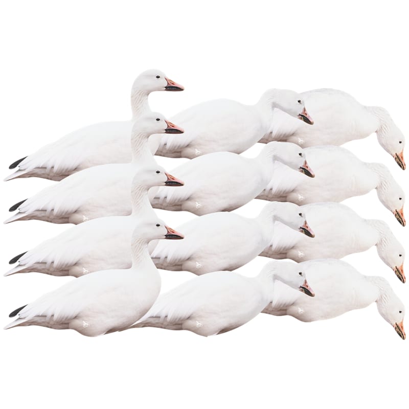Northern Flight Snow Goose Silhouette Goose Decoys