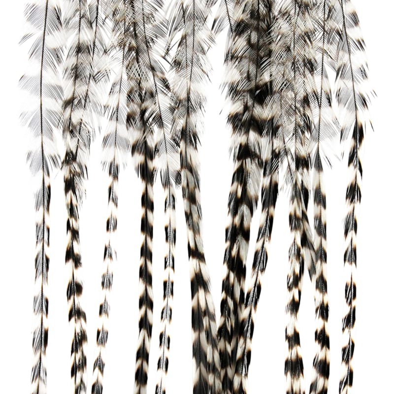 Montana Fly Company Whiting Saddle Hackle Feathers