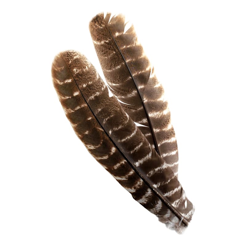 White River Fly Shop Ozark Turkey Quill Barred