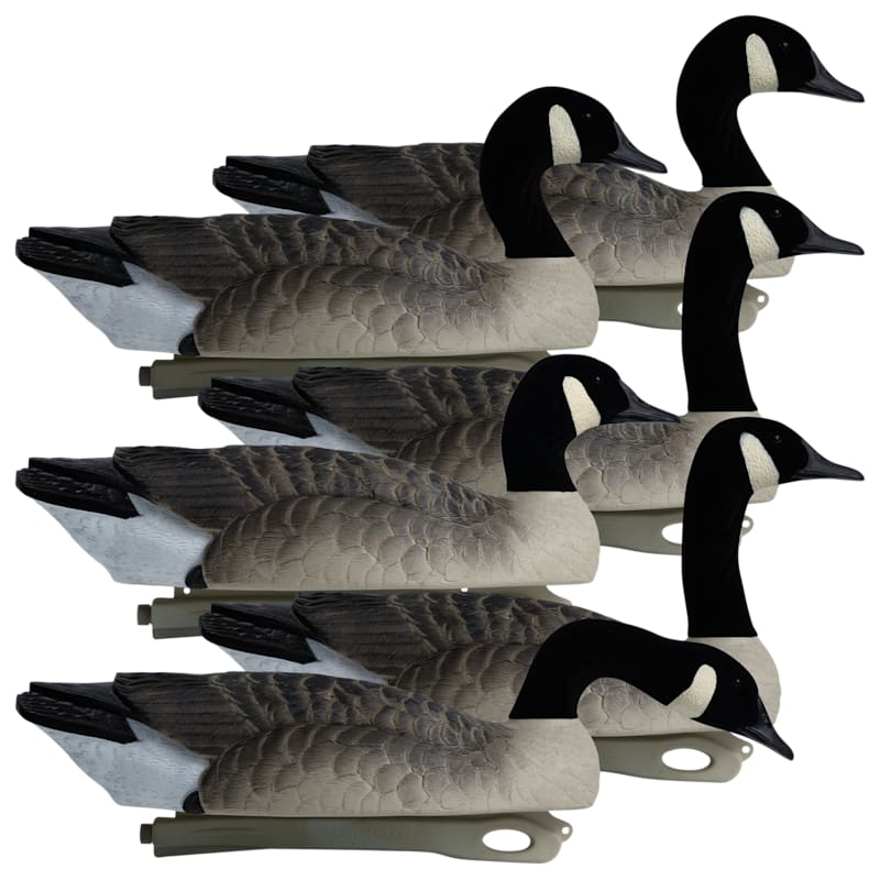 Hardcore Rugged Canada Touchdown Goose Decoys 6-Pack