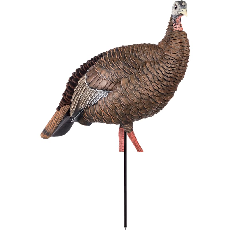 Avian-X HDR Hen Turkey Decoy
