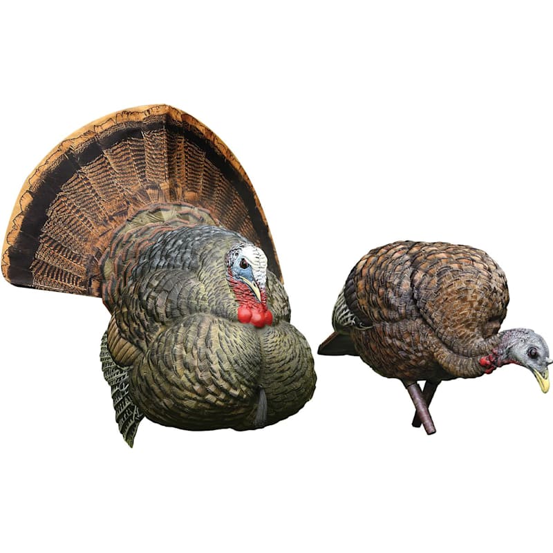 Avian-X Mid-Morning LCD Strutter/Feeder Turkey Decoy Combo
