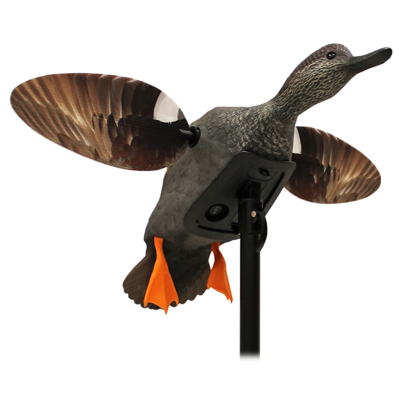 MOJO Outdoors Elite Series Gadwall Motorized Duck Decoy