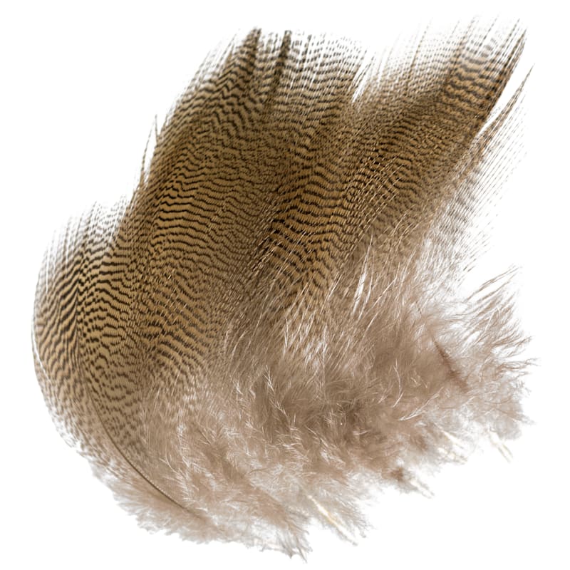White River Fly Shop Wood Duck Feathers