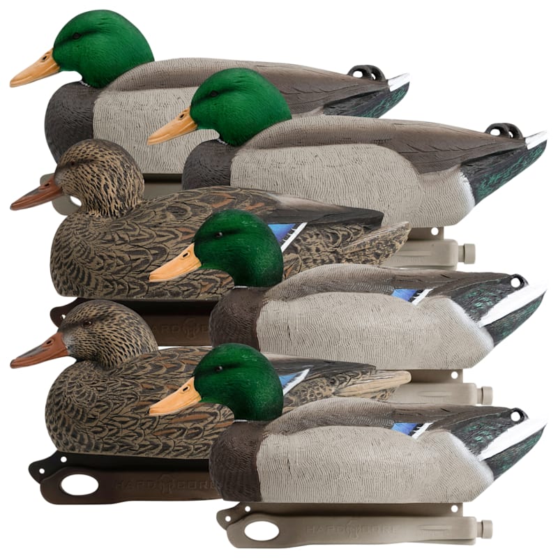 Hardcore Decoys Rugged Series Standard Mallard Duck Decoys with Flocked Drake Heads 6-Pack