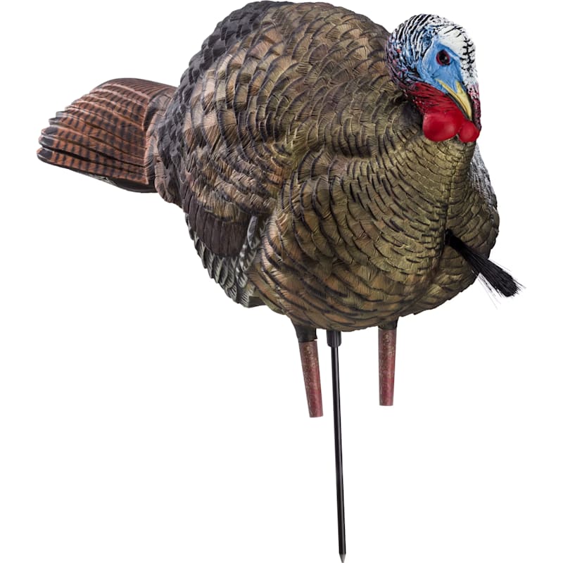 Avian-X LCD 1/2 Strut Jake Turkey Decoy