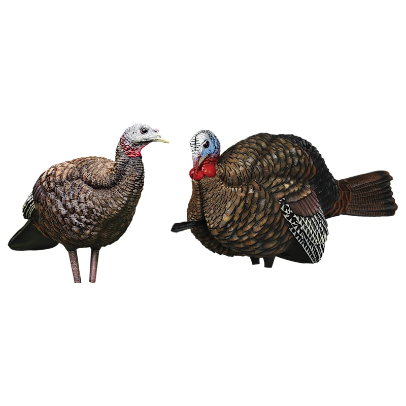 Avian-X LCD 1/2 Strut Jake and Breeder Hen Turkey Decoy Combo