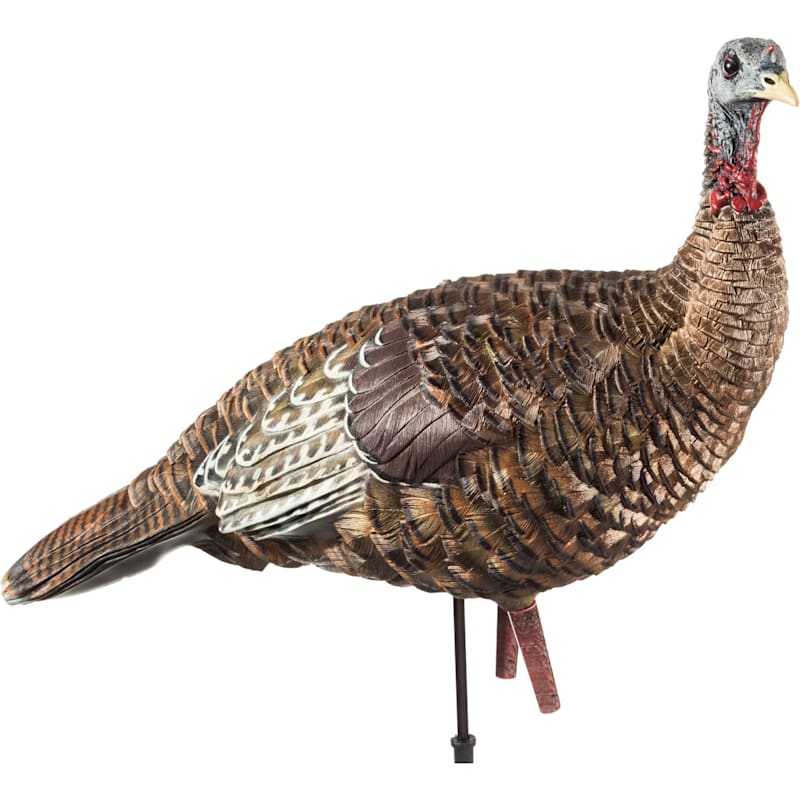 Avian-X LCD Lookout Hen Turkey Decoy