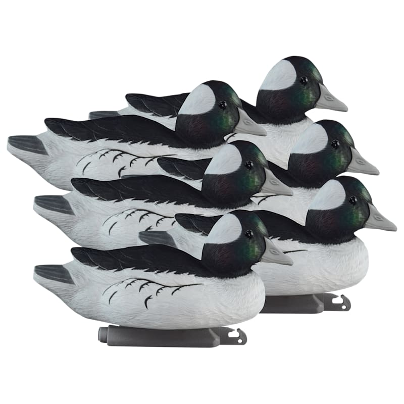 Higdon Standard Foam-Filled Bufflehead Drake Duck Decoys 6-Pack