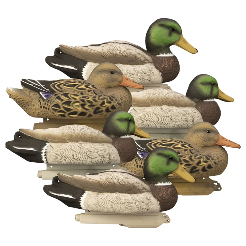 Higdon Standard Foam-Filled Mallard Duck Decoys 6-Pack