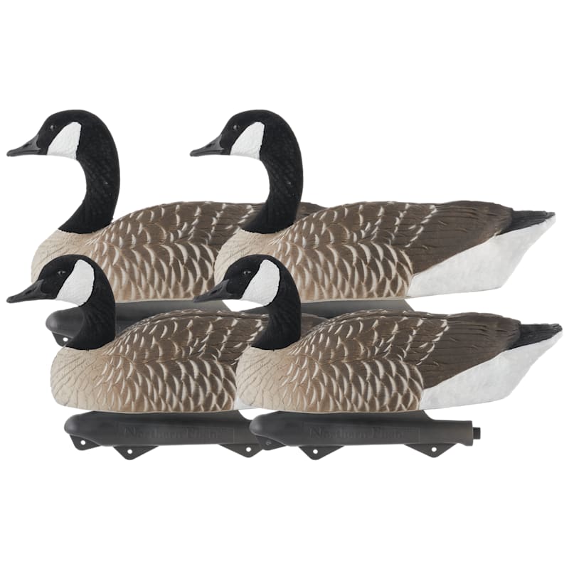 Northern Flight Big Spread Canada Goose Floating Decoy 4-Pack