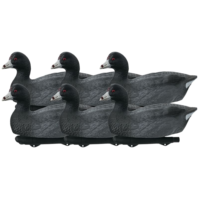 Northern Flight Pro Series Coot Decoys 6-Pack