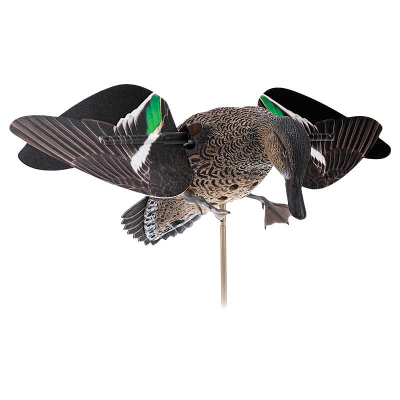 Avian-X PowerFlight Teal Hen Motorized Duck Decoy with 2 Wing Sets