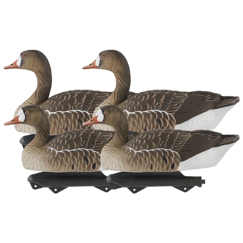 Northern Flight Big Spread Specklebelly Goose Decoys 4-Pack
