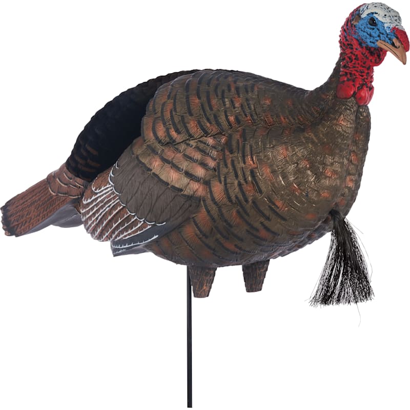 Cabela's Pro Jake Turkey Decoy