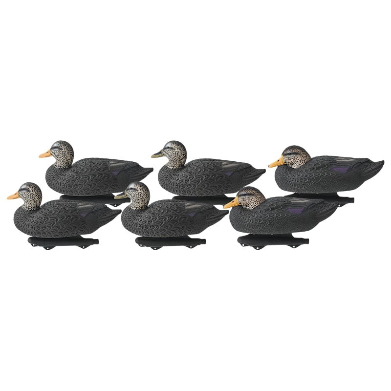 Northern Flight Pro Series Black Duck Decoy 6-Pack
